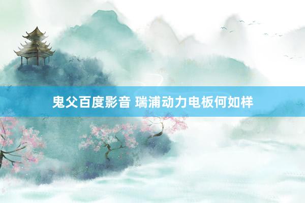 鬼父百度影音 瑞浦动力电板何如样