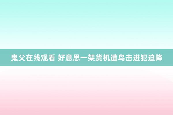 鬼父在线观看 好意思一架货机遭鸟击进犯迫降