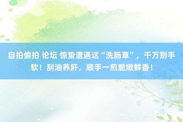 自拍偷拍 论坛 惊蛰遭遇这“洗肠草”，千万别手软！刮油养肝，顺手一煎脆嫩鲜香！