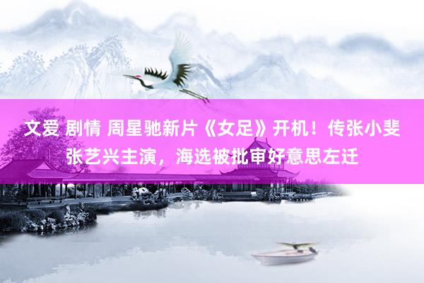 文爱 剧情 周星驰新片《女足》开机！传张小斐张艺兴主演，海选被批审好意思左迁